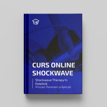 Curs avansat Shockwave