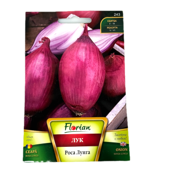 Seminte ceapa Rosa Lunga 1,5 gr, Florian Bulgaria