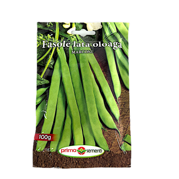 Seminte fasole oloaga verde Marconi, 100 gr, Prima Sementi