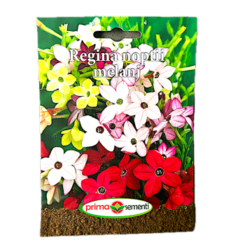 Seminte flori Regina Noptii melanj 0.5 gr, Prima Sementi de la Loredo Srl