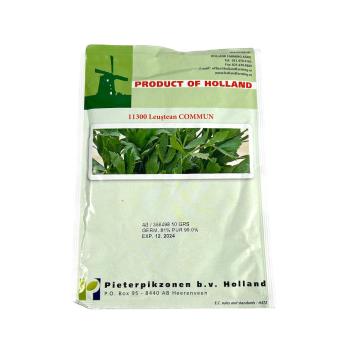 Seminte leustean Commun 10 gr, Holland