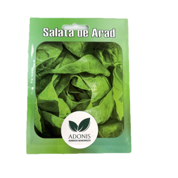 Seminte salata de Arad 5 gr, Adonis