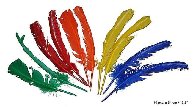 Accesorii party Pene colorate indian - 60169 de la Hobbyplanet Romania
