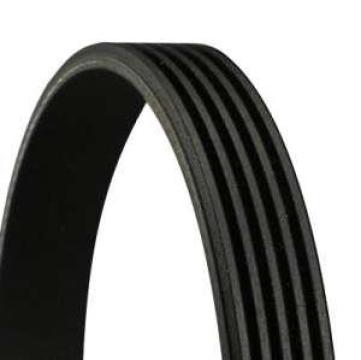 Curea transmisie cu caneluri 5PK1295